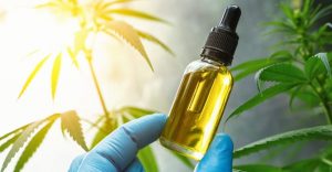 Can CBD Oil Get You High What You Should know about CBD and THC