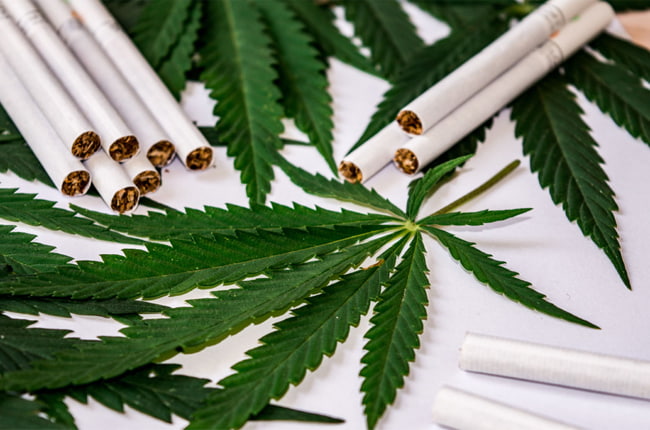 cbd cigarettes