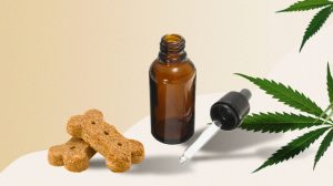 cbd for dogs and cats