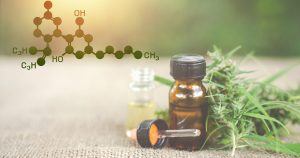 CBD Hemp Oil Leaves e1644614102289