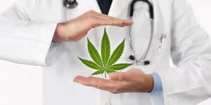 Medical Uses for Cannabis